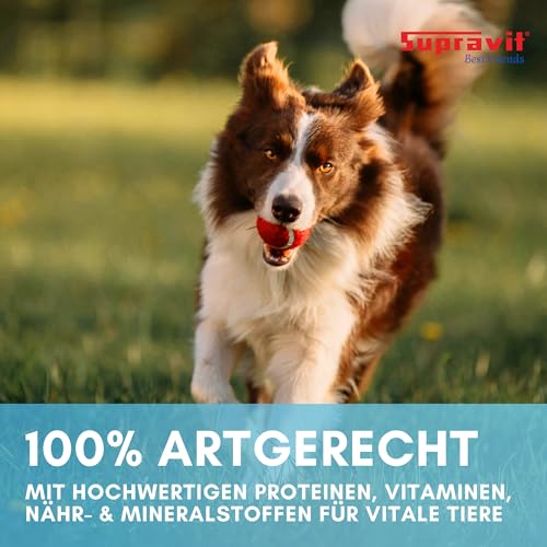 Supravit Nassfutter für Hunde I 12 x 410g Dosenfutter I Hundefutter mit schmackhaftem Strauß I getreidefreies Hundefutter für ernährungssensible Hunde