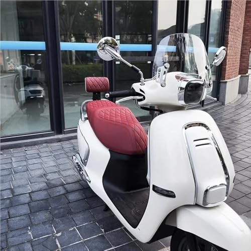 Appui-dos passager arrière US125 avec installation non destructive rapide