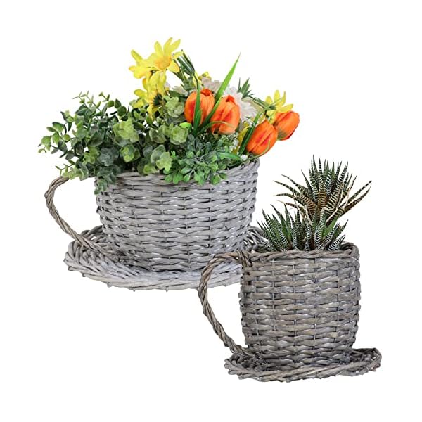 Sunnydaze Willow Wicker Coffee Cup Basket Planters for Indoor Use Only Set of 2 Gray