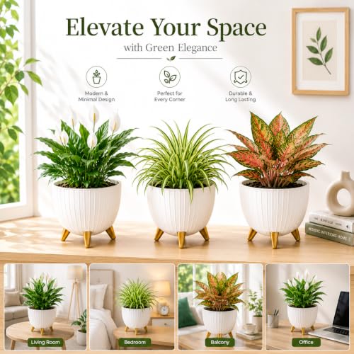 Image of (7 Inch) Plastic Flower Pot for Indoor Outdoor Plants with Stand, planters for Home Decor, Flower Pot with Legs, Flower Pot for Living Room, Garden, Pot for Office Table & Home (White, 2)