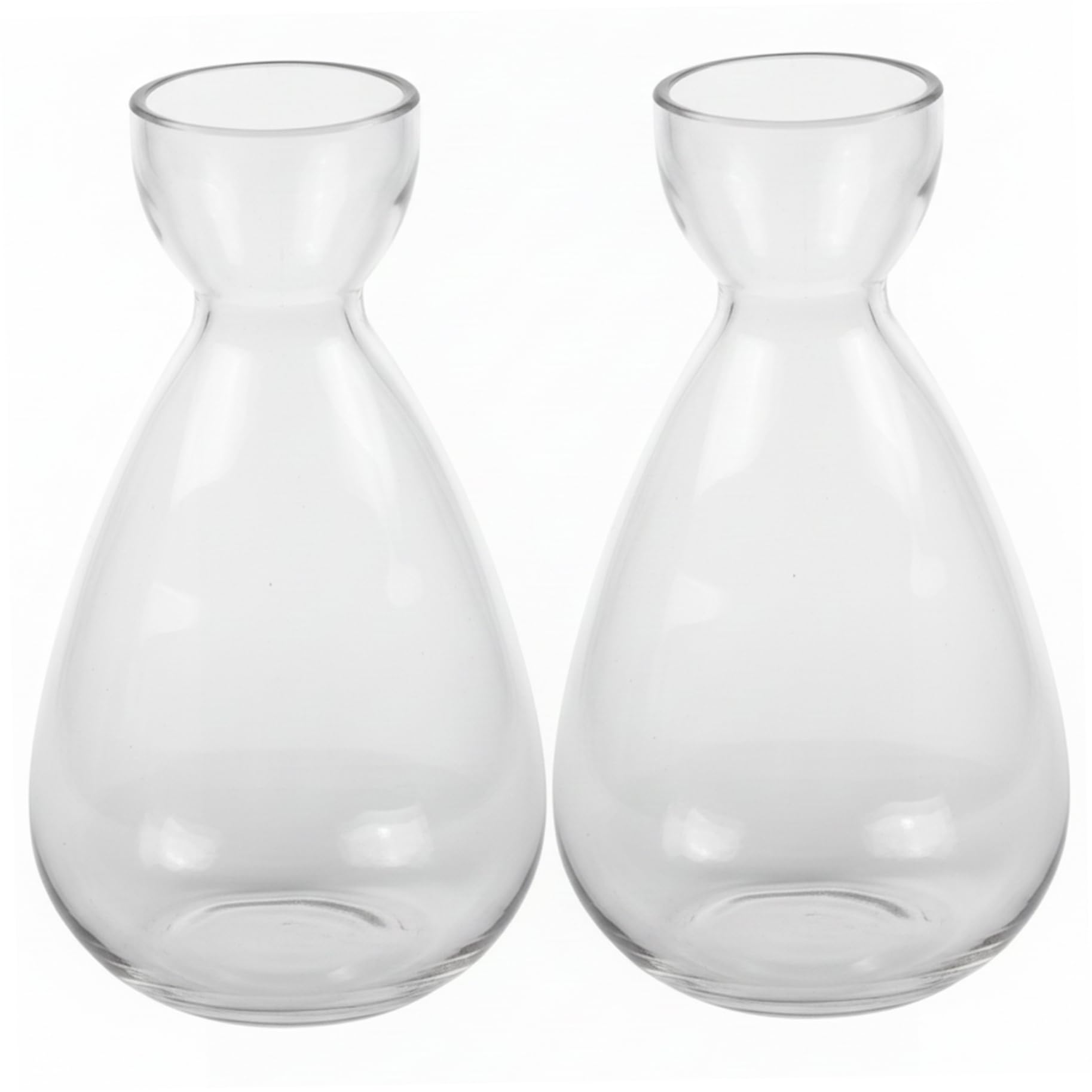 Vase d'avocat pour graines et culture hydroponique en verre clair x2