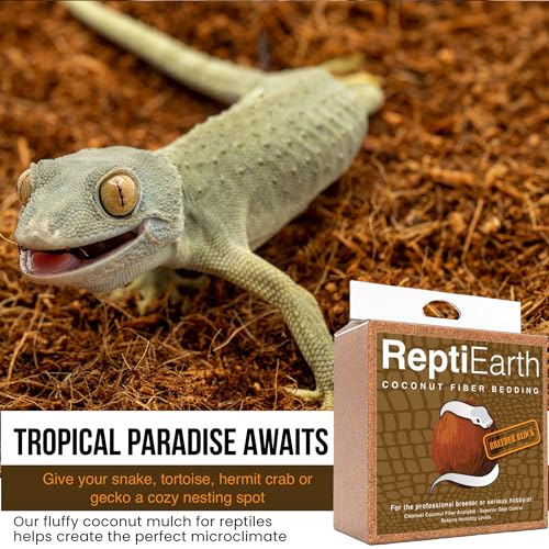 ReptiEarth Reptile Bedding, Fluffy Coconut Fiber Substrate Organic Coco for Bioactive Snake Terrarium, Lizard Tanks with Plants, for Frog Habitat, Tarantula or Hermit Crab Enclosure (72 Quart Block)