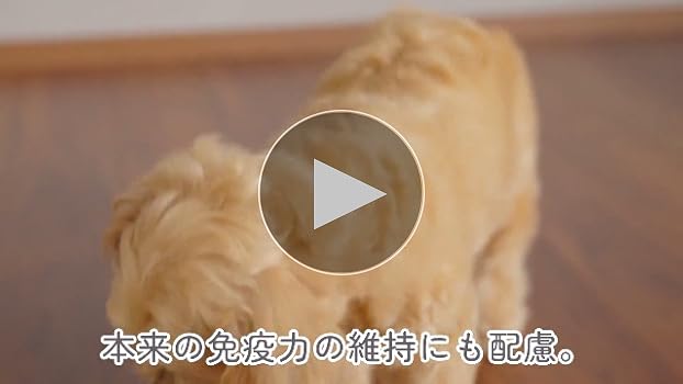 ミシュワンドッグフード✖️3袋 Amazon.co.jp: ミシュワン ドッグフード シニア犬用(国産鶏肉