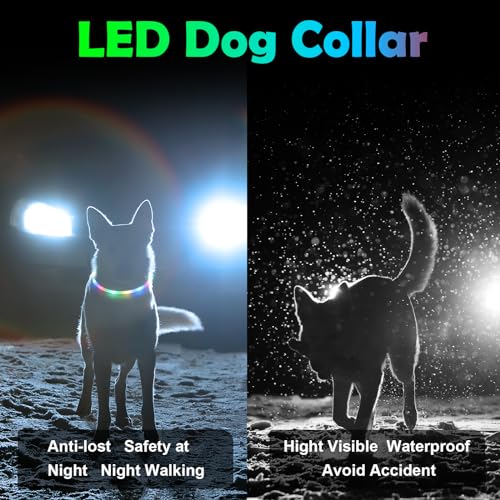 AUAUY LED Leuchthalsband Hund, USB Aufladbar Längenverstellbarer Haustier Sicherheit Silikon Kragen Zuschneidbares Wasserdicht Leuchthalsband für Hunde und Katzen, 4 Modus (Bunt)