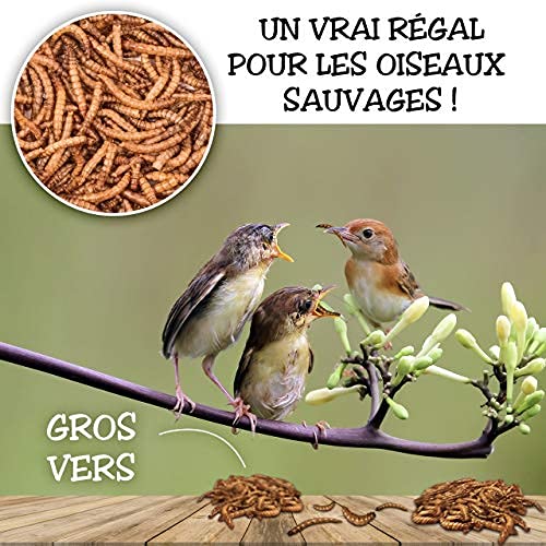 Detox Organica-vers de Farine Séchés - 1kg Correspond à 6500ml, Friandises pour Oiseaux, Poissons, Tortues, Hérissons, Rongeurs et Reptiles – Image 5
