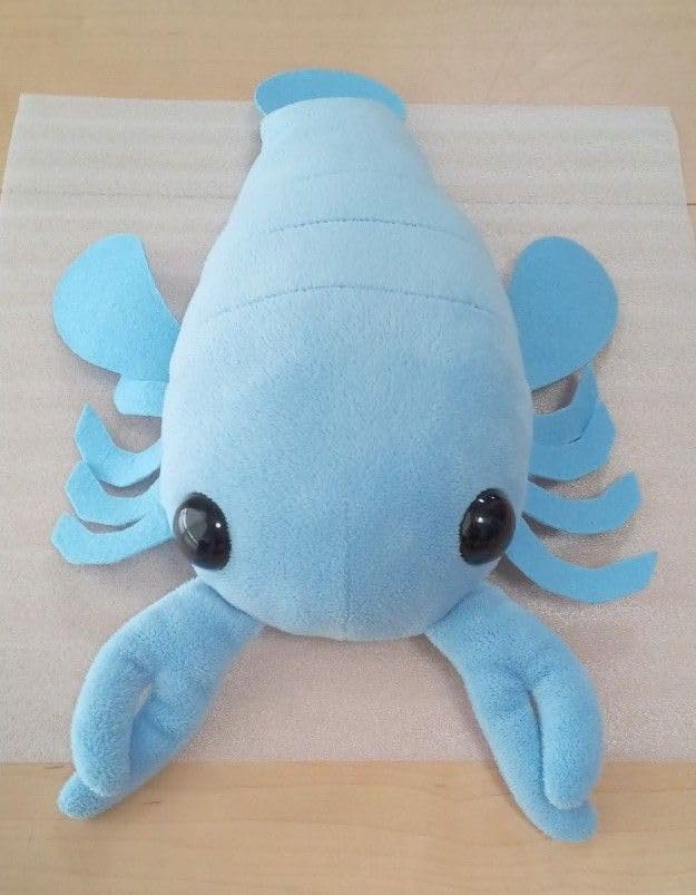 ♾️超稀少!! アノマロカリス＆ウミサソリのぬいぐるみ（2体）＆ちびっこ画伯作品 Amazon.co.jp: 超稀少!! アノマロカリス ウミサソリのぬいぐるみ