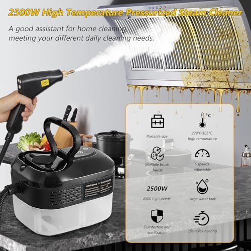 Image of Foandbevi Handheld Steam Cleaner, 2500W High Pressure Multi-Surface Steam Cleaner for Home Use, Car Steamer For Cleaning Auto Detailing Kitchen Floors Tools