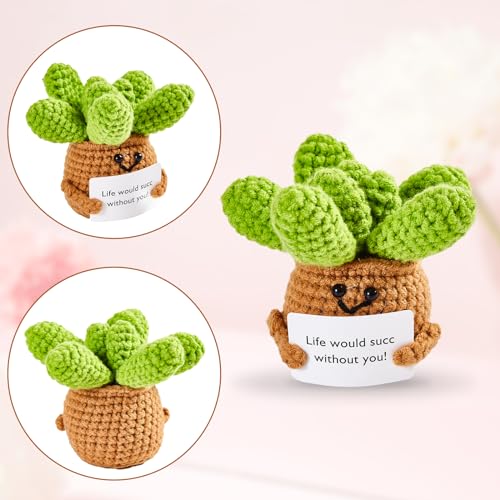Image of Hoedia Handmade Emotional Pickle Gift, Cucumber Crochet Doll Inspirational Gifts with Cards, Cute Knitted Funny Support Pickle Potato Friend Birthday (Positive Succulent)