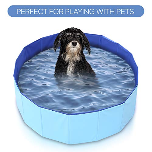 Mirtillo & Memole Hundepool, Kleiner Pool, großer XL-Pool, Pool für große Hunde, Klapppool, extra großer hoher Pool… – Bild 6