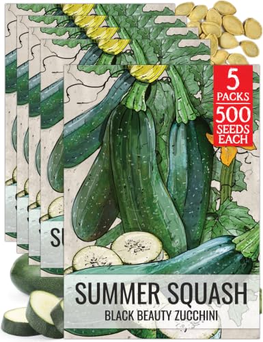 Seed Needs Black Beauty Summer Squash Seeds to Plant Vegetables - 5 Packs