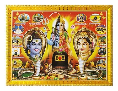 Indianstore4Everyone Shiva Parvati/Ardhnarishwar/Adishakti/Shiv Shakti Roop Vasuki Nag Naging photo frame with Laminated Poster for puja room temple Worship/wall hanging/gift/home decor (30 x 23 cm)