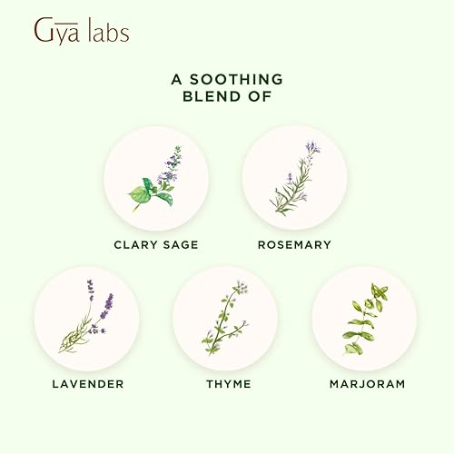 Miniatura 6 de Gya Labs Mezcla de aceites esenciales Harmony, aroma calmante y dulce (0.34 onzas líquidas)