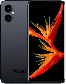 6.5-Inch X65 64GB/4GB 4G Smartphone, Black product image