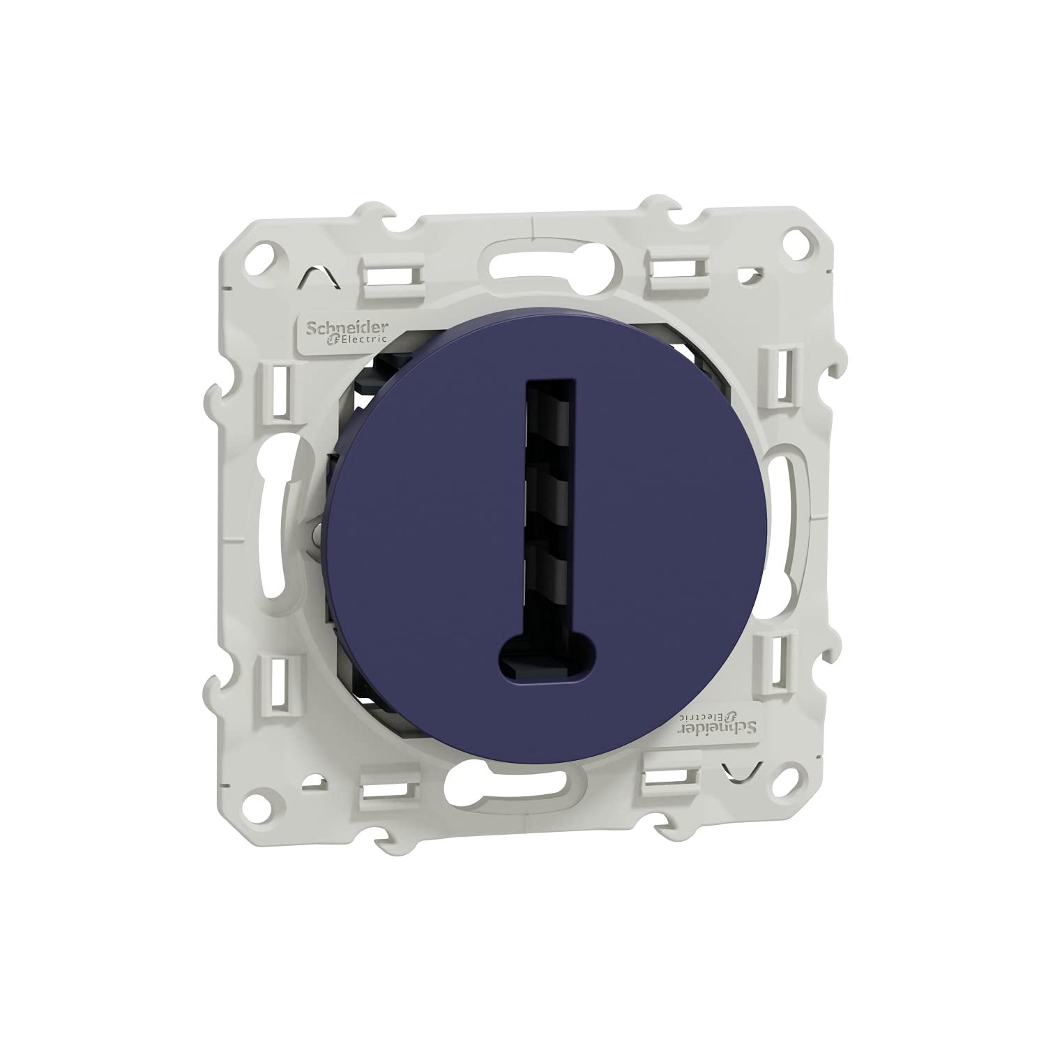 Schneider Electric S550496 Odace T-Bar Circuit Breaker, 8 Contacts, Screw, Cobalt