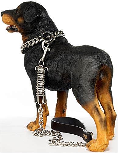 How To Make A Long Line Dog Training Lead