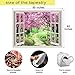 MEETSIOY Japanese Cherry Blossom Window Tapestry, 80x60 Inches, Pink Flowers, Botanical Floral Natural Landscape, Aesthetic Home Decor for Living Room, Bedroom, Nursery
