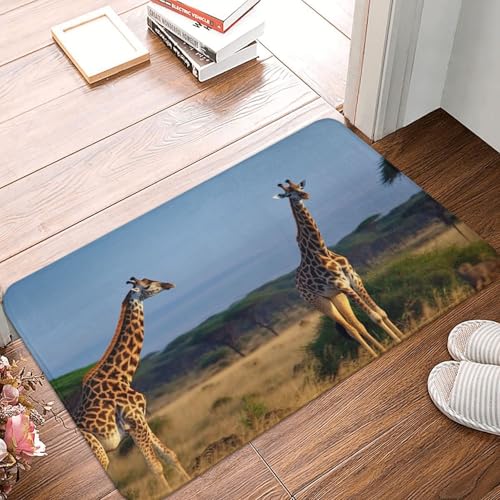 BTCOWZRV �h�A�}�b�g �m���X���b�v�t�����g�h�A�}�b�g ���փE�F���J���}�b�g �L���� �L���}���W���� �}�E���g �A�t���J �h�A�}�b�g �􂦂�t���A�}�b�g �L�b�`�����O �z�����o�X�}�b�g �Q�� �o�X���[�� �L�b�`�� 16�C���` x 24�C���`