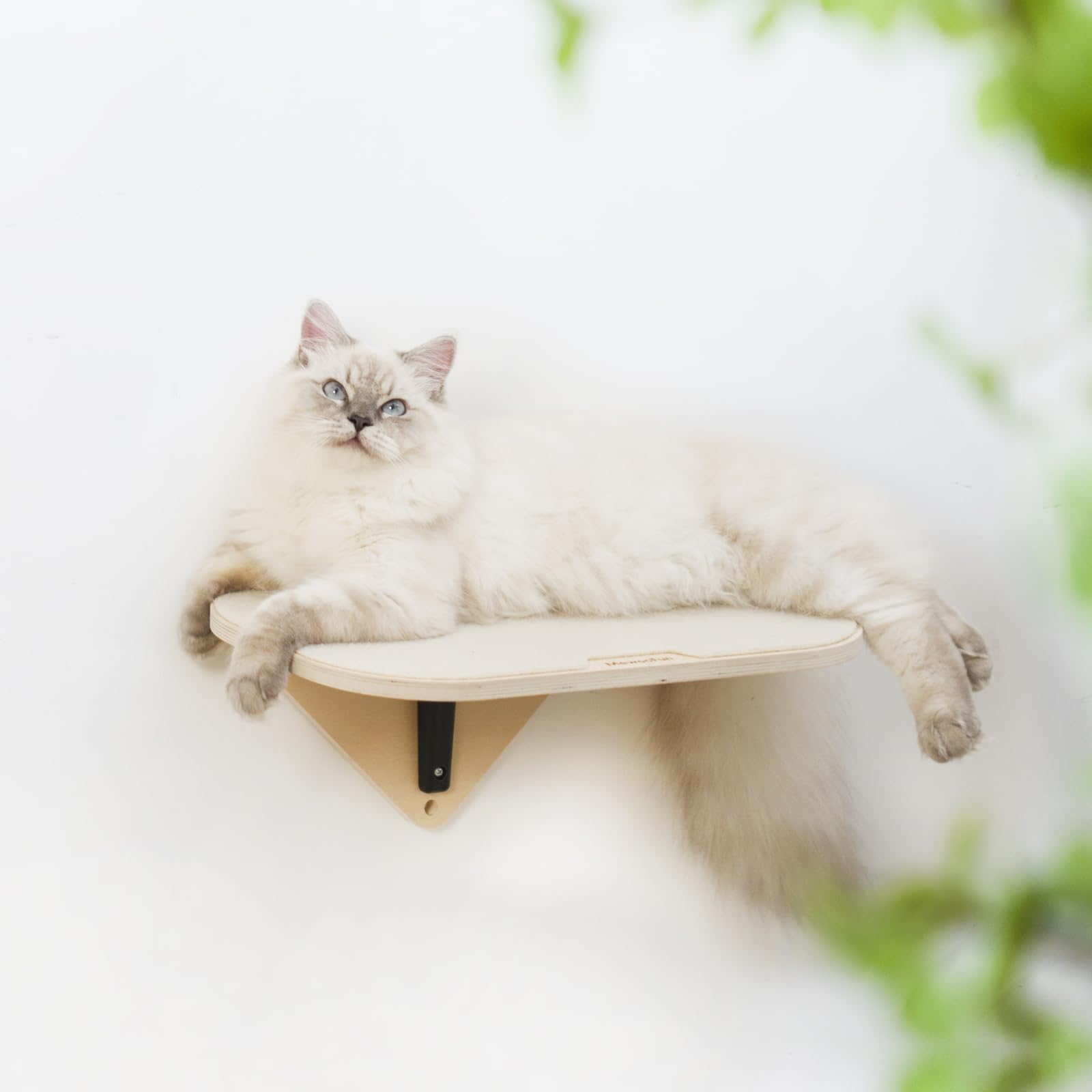Visual Reference: Snapklik Com Mewoofun Cat Wall Shelves Cat Window Perches Wall