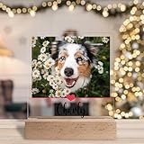 True Statements Personalisiertes Foto Geschenk für Hundebesitzer: Acrylaufsteller mit eigenem Bild, Geschenke für Hundeliebhaber Haustiere- Acrylglas inkl. Holzsockel - 15x18 cm (Herzlinie)