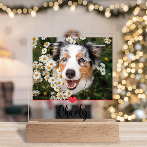 True Statements Personalisiertes Foto Geschenk für Hundebesitzer: Acrylaufsteller mit eigenem Bild, Geschenke für Hundeliebhaber Haustiere- Acrylglas inkl. Holzsockel - 15x18 cm (Herzlinie)