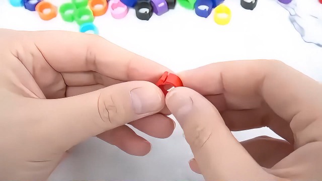 Anelli Per Zampe Uccelli 8 Mm - 100 Pezzi Multicolori Per Polli, Quaglie E Piccioni, Con Clip Facile - Foto 9