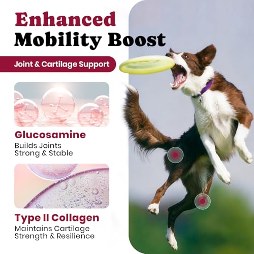 Image of Glucosamine for Dogs - Hip and Joint Supplement Chews for Senior & Large Breed, Joint Supplement for Dogs with Chondroitin, Wuffe Joint Chews for Pain Relief - 60-Day Satisfaction Guarantee - 180 Ct