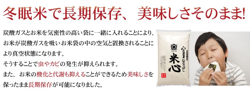 Amazon.co.jp: 令和7年度産 米心 20㎏ 北海道産 ななつぼし 5年保存