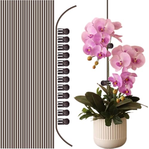 25PCS Plant Stakes for Indoor Plants 15Inch Bendable Plant Support Stakes and 25PCS Plant Clips Plant Sticks Support for Orchid Flower Potted Plants Rose
