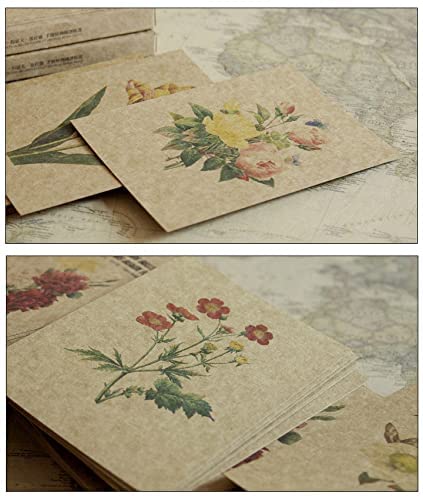 24 Cartes Postales Vintage Fleurs Nature - Langage Floral Amour Amitié Vie Sur Papier Kraft
