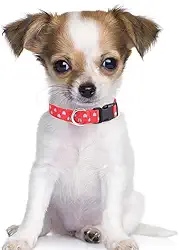 Coleira ajustável para cães com estampa de coração doce