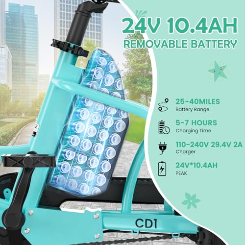 LILYPELLE Electric Tricycle for Youth, 250W Aluminum Frame