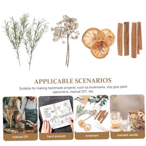 Kit de Flores Secas para Manualidades y Decoración miniatura 6