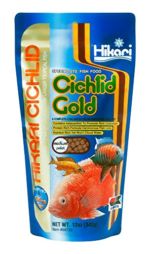 Cichlid Gold Sinking