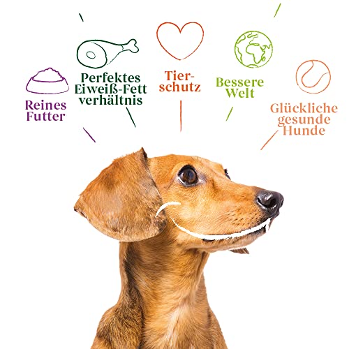 Yarrah Sehr schmackhafte, getreidefreie Pastete mit biologischem Huhn und Truthahn und zugesetzter Aloe Vera. Eignet Sich für Hunde Aller Rassen und Altersgruppen., 12*150g