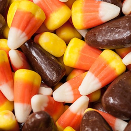 Chocolate Covered Candy Corn: 5 LBS