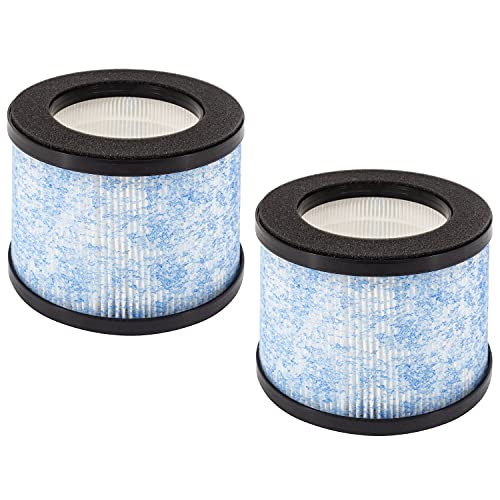 Lhari 2-Pack H13 HEPA Filter
