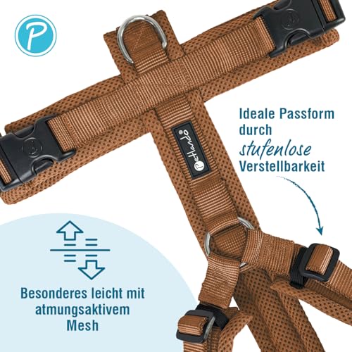 Petlando Hundegeschirr Mesh Y-Comfort mit atmungsaktivem Mesh, leicht & robust, stufenlos verstellbar, Farbe Cognac, Größe M (Halsumfang 46-74 cm, Brustumfang 50-74 cm), Brustgeschirr Hund mittel