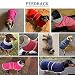 MOREZI Winterhundejacke mit wattiertem Flusenfutter, verstellbarem Klettknopf und hochklappbarem Stehkragen. Sehr gut geeignet für Dackel und kleine und mittelgroße Jagdhunde-Navy-M