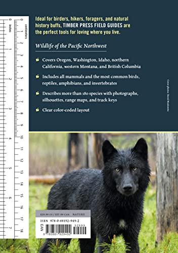Wildlife Of The Pacific Northwest: Tracking And Identifying Mammals, Birds, Reptiles, Amphibians, And Invertebrates (A Timber Press Field Guide) #TOP1