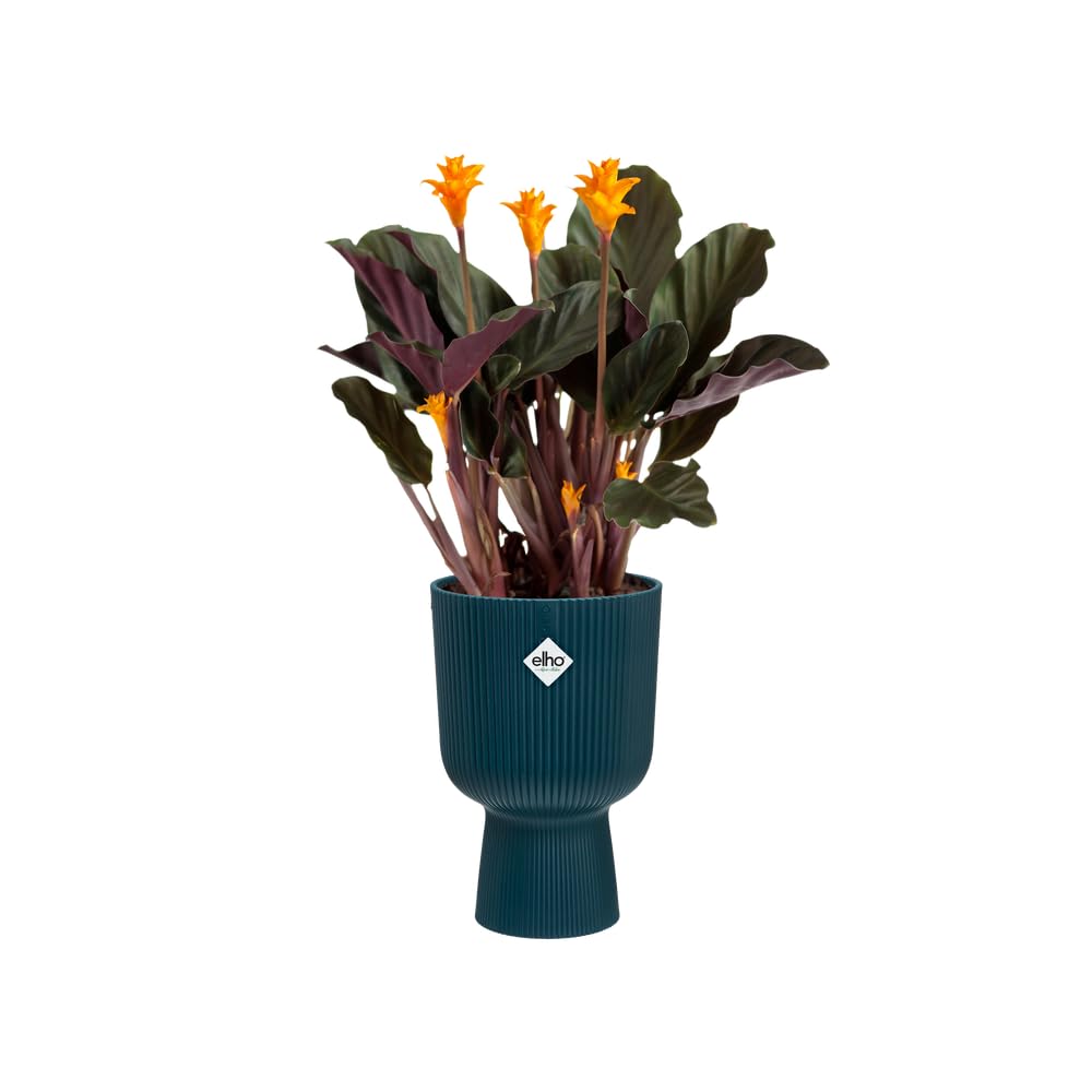 elho Vibes Fold Coupe 14 - Indoor Plant Pot - 100% Recycled Plastic - diameter 13.9 x H 21.0 cm - Blue/Deep Blue - Image 3