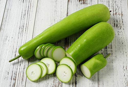 20+ Bottle Gourd Homegrown Lauki Seeds Lauki Dudhi Opo Asian Calabash Melon Chinese Squash Non-GMO Heirloom - Thumbnail 5