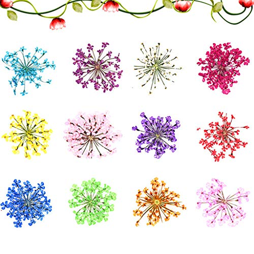 Kit 24 piezas flores secas para manualidades y decoración miniatura 5