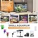 Vehipa Fish Tank, 2.4 Gallon Fish Aquarium, Fish Tank Starter kit with Smart Humidifier, Temperature Display, 7-Color Lighting, 3 in 1 Quiet Pump with Filteration & Oxygenation & Circulation