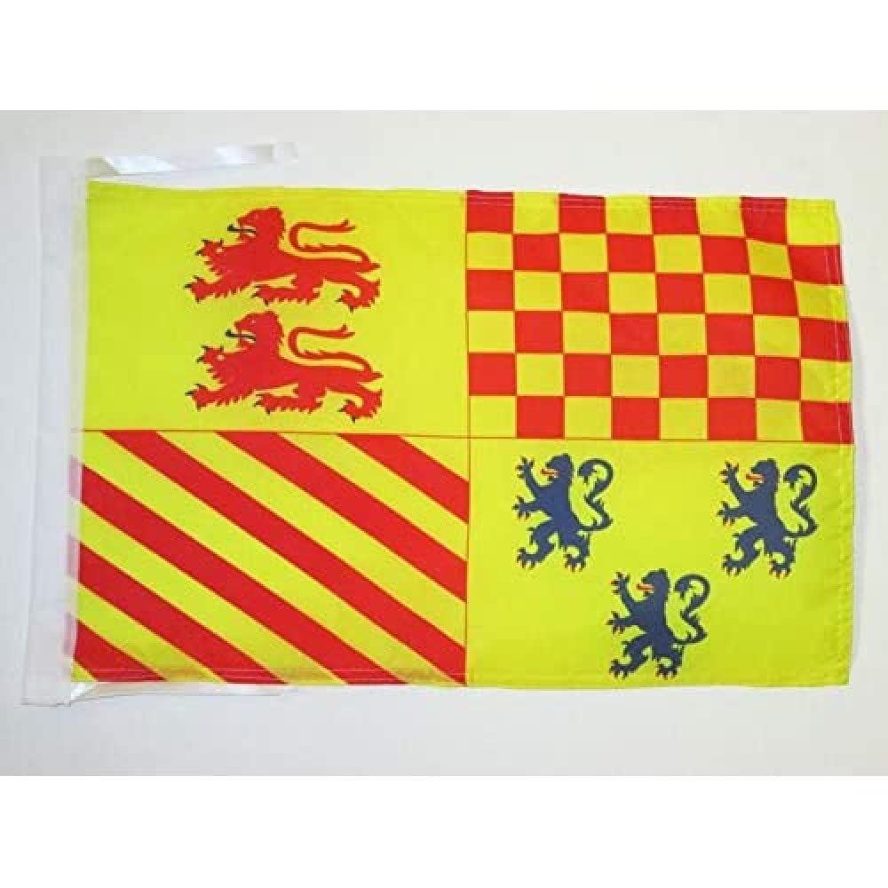 AZ FLAG, Corrèze Flag, 18'' x 12'', 100% Polyester French department, France Small Banner with Two Cords, Fade Resistant
