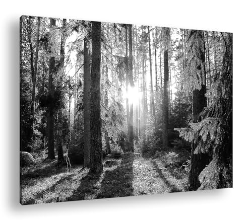 Forêt de conifères cadre bois pour créer un salon zen et lumineux