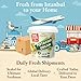 Pistachio Cream Bulk Tub - 2.2lb / 1 kg Gulluoglu Premium Cream For Dubai Chocolate, Best options Pistachio Butter, Perfect Taste For Dubai Chocolate 35.2 ounce