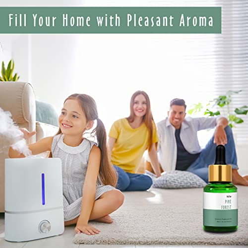 Pine Forest Fragrance Oil, Mitflor Single Scented Oil, Large Size Premium Grade Fragrance Oil For Soap & Candle Making, Aromatherapy Essential Oil, Fresh Woody Scent For Home Fragrance, 30Ml #TOP3