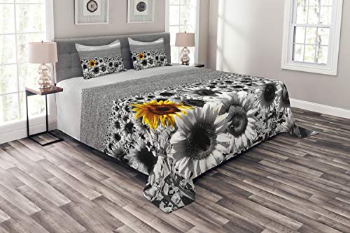 Lunarable Modern Bedspread, Sunflower Field Black and White with a Single Yellow Flower Bloom Spring Landscape, Decorative Quilted 3 Piece Coverlet Set with 2 Pillow Shams, Queen Size, Grey