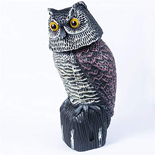 KTSM-Stop-T Expulsor de Aves 1PC Grande Realista Decoy búho con la rotación de la Cabeza del pájaro de la Paloma Crow espantapájaros Scarer Simulación de plástico Protege Jardín Apto para Granja