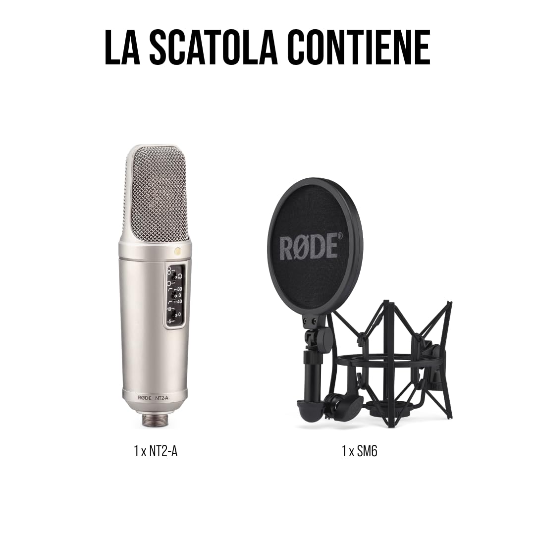 RØDE NT2-A Microfono a Condensatore Versatile a Grande Diaframma con Modello Polare Commutabile, Pad e Filtro Passa-Alto per Registrazione Vocale e di Strumenti